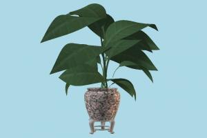 Vase Plant vase, plant, houseplant, plants